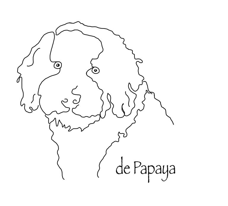 (c) Perro-depapaya.de